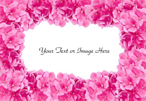See more ideas about flower border, flower art, flowers. Pink Flower Border Pictures JPG For Free Download | Free ...