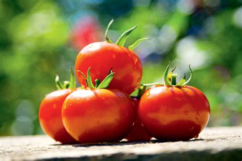 The Best Tasting Tomatoes Suttons Gardening Grow How