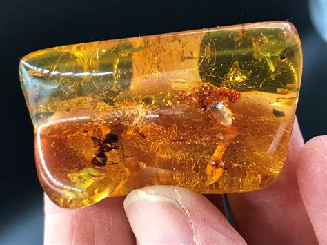 Amber Rock Fossil Natural Collectible Mineral Specimen
