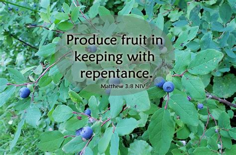 Produce Fruit In Keeping With Repentance Matthew 38 A Clay Jar