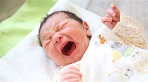 Bebés Que Lloran Mucho Cómo Entender Y Gestionar Su Llanto
