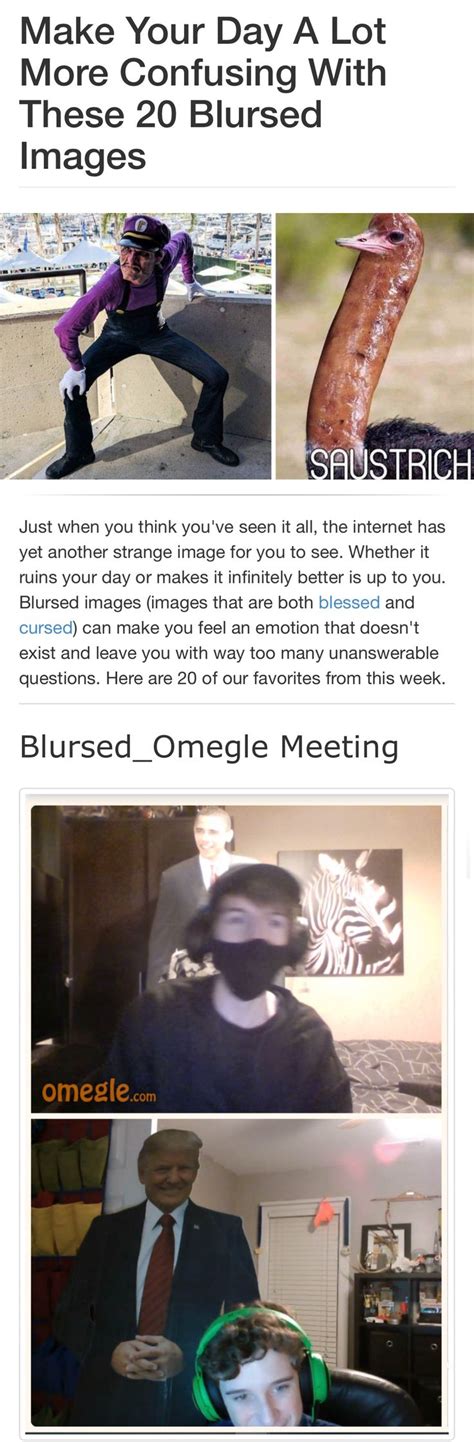 Make Your Day A Lot More Confusing With These 20 Blursed Images | Weird