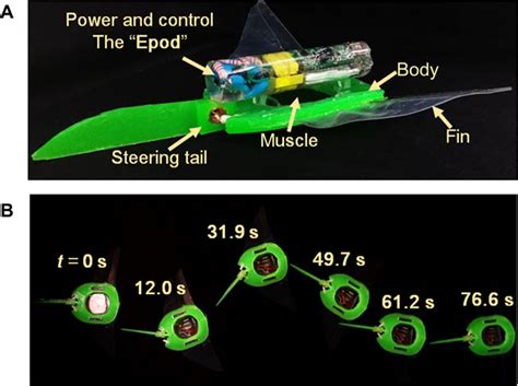 Soft Manta Ray Robot Glides Electrically Through The Sea Popular Science