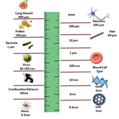 Scale Of Science From Millimeter Mm To Nanometer Nm Download