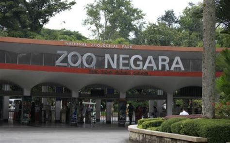 Zoo Negara - Picture of Zoo Negara, Ampang - TripAdvisor