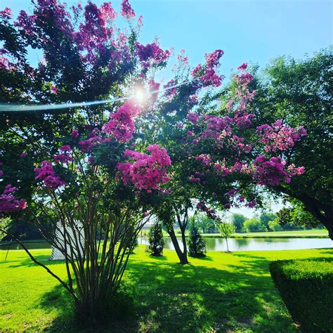 beautiful view today : camping