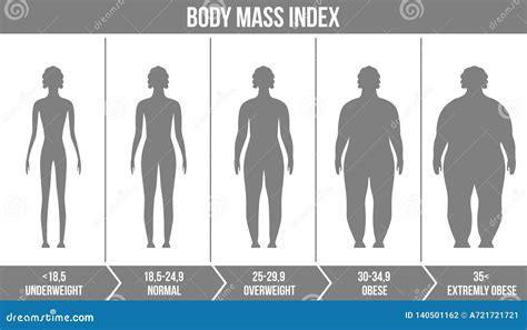 Creative Vector Illustration Of Bmi Body Mass Index Infographic Chart With Silhouettes And