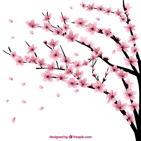 Foglie ghirlanda di fiori free png stock. Ciliegio con fiori | Scaricare vettori gratis