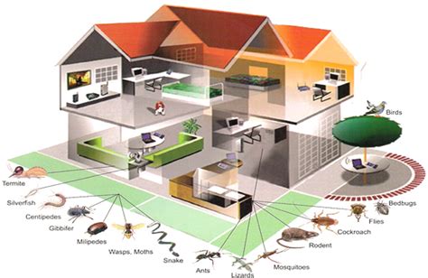 For questions or comments about our pest control services, please use the information listed here. Residential Pest Control - Truly Green Pest Control