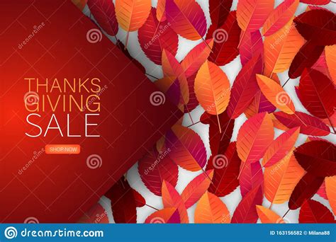 Happy Thanksgiving Day Sale Poster Background With Red