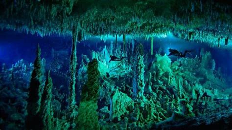 Belize~inside The Ble Hole Blue Hole National Geographic Adventure