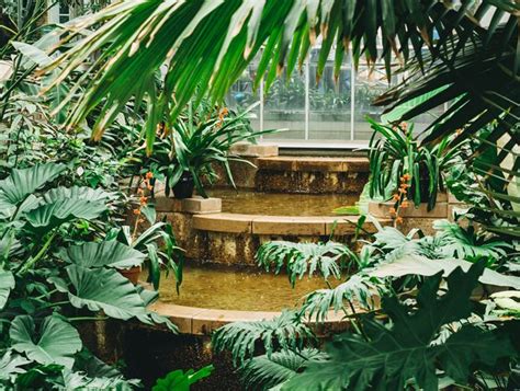 10 Tropical Garden Ideas For A Resort Like Landscape Garden Design