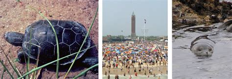 The issue of permits that are required for jones beach is driving me nuts because nobody can give me clear answer. Jones Beach State Park - NYS Dept. of Environmental ...