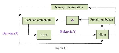 Pengikatan nitrogen dari udara berlaku melalui 2 cara iaitu tindakan kilat dan aktiviti bakteria pengikat nitrogen. (Tingkatan 5) 2.4.3 Kitar Nitrogen (Soalan Subjektif ...
