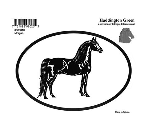 Decal Morgan Pack Of 6 Horseloverz