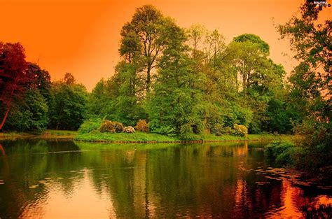 River Trees Viewes Park Beautiful Views Wallpapers 2539x1681