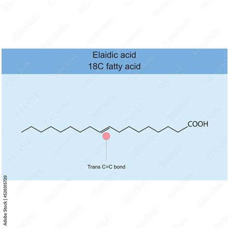 Elaidic Acid 18 Carbon Fatty Acid Chemical Structure On Blue