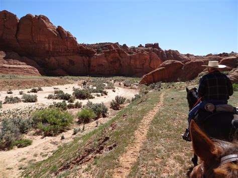 Buckskin gulch is the longest slot canyon in the usa, draining part of the vermilion cliffs around the utah/arizona border, and meeting the paria river. Dream Packer Trail Adventures: Buckskin Gulch, Utah