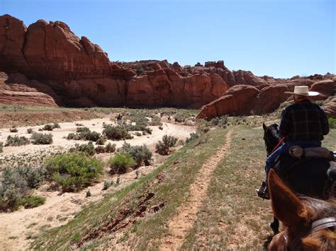 We are headed to this area next week and are wanting to do wire pass trail to buckskin gulch. Dream Packer Trail Adventures: Buckskin Gulch, Utah