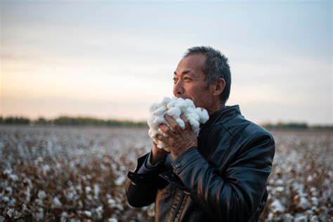 Cotton Farmer Increases Production Through Mechanization Of Cotton
