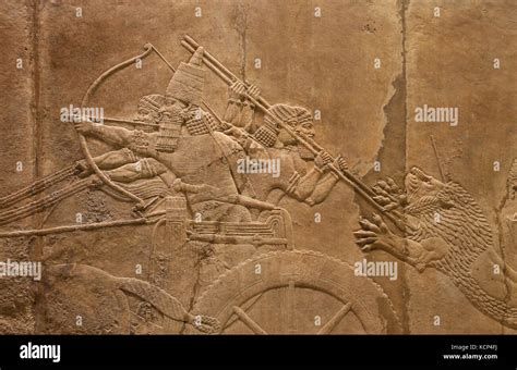 Hunting Mesopotamia Lion Ashurbanipal On Chariot Relief Neo