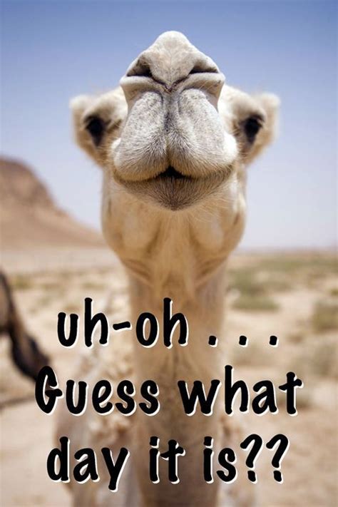 Uh Oh Guess What Day It Is Pictures Photos And Images For Facebook