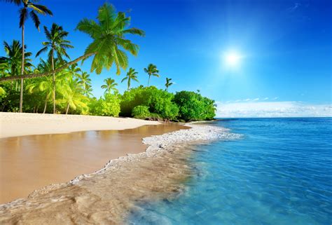 Sunshine Beach Coast Tropical Paradise Blue Sea Sky