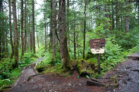 We did not find results for: Path To John Muirs Cabin Stock Photo - Download Image Now ...