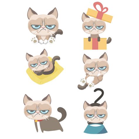 Grumpy Cat Illustrations Royalty Free Vector Graphics And Clip Art Istock