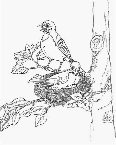 Books are food new for thought click her for pdf format: Jan Brett The Mitten Coloring Pages - Coloring Home