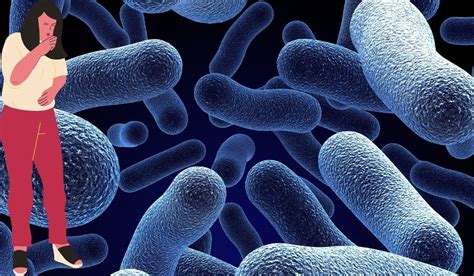 Infecção Bacteriana Sintomas Sinais E Tratamento