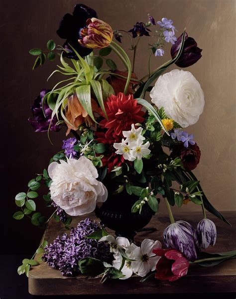 Floral Still Lifes That Recall Old Masters Paintings Sharon Core