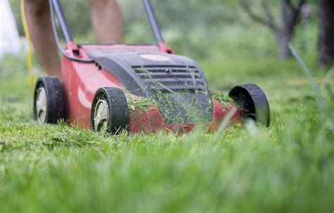However, mulching mowers do not spray grass. Mulching vs Side Discharge: Which is Better for Your Lawn ...