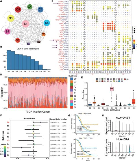 Frontiers Single Cell Rna Sequencing Portraying Functional Diversity