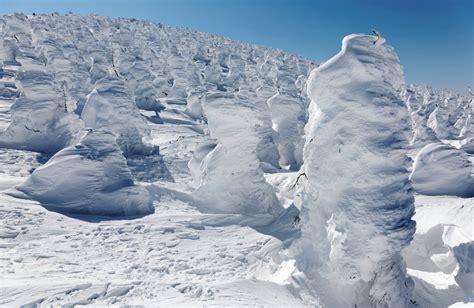 Juhyo The Snow Monsters Of Mount Zao Amusing Planet