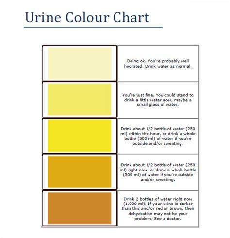 Free 10 Sample Urine Color Chart Templates In Pdf Ms Word Urine 8