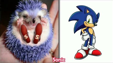 Sonic The Hedgehog Characters In Real Life 30 Youtube