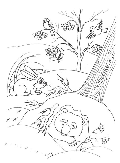 The cotton tree is a tropical tree belonging to the malvaceae family and malvales order. Winter forest coloring pages to download and print for free