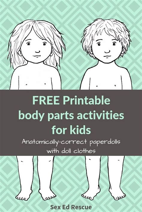 looking for a free printable body parts activity one that is anatomically correct these paper