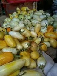 We did not find results for: How to Start Garden Egg Farming Business In Nigeria ...