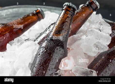 Cold Icy Beer Bottles In A Cooler With Ice Stock Photo Alamy
