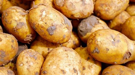 Can You Eat Raw Potatoes When They Can Be Poisonous Utopia