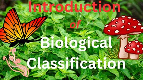 Introduction Of Biological Classification Youtube
