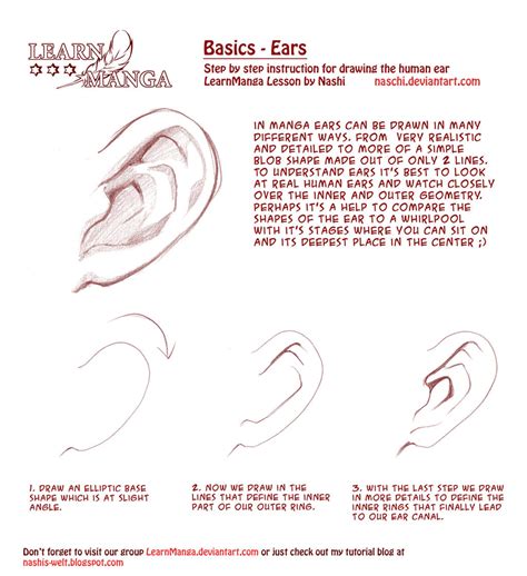 learn manga drawing the ears by naschi on deviantart