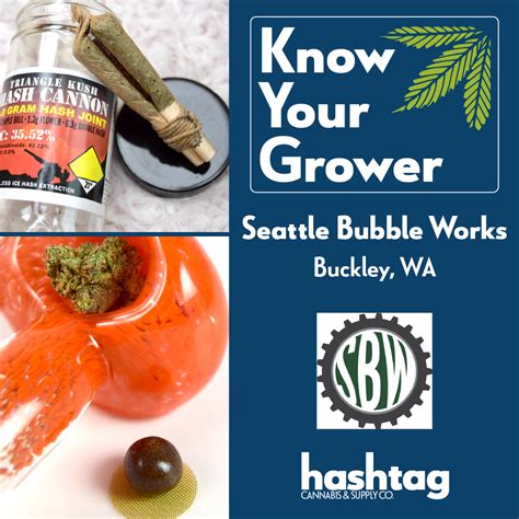 Know Your Grower Seattle Bubble Works — Hashtag Cannabis