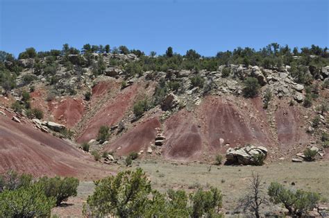 Chinleana Ghost Ranch And The Chinle Formation Of The Chama Basin New