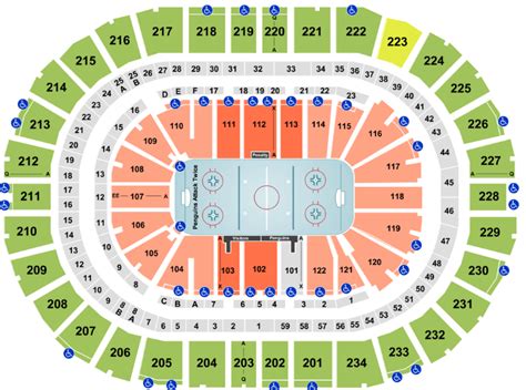 Ppg Paints Arena Seating Chart Rows Seat Numbers And Club Seats