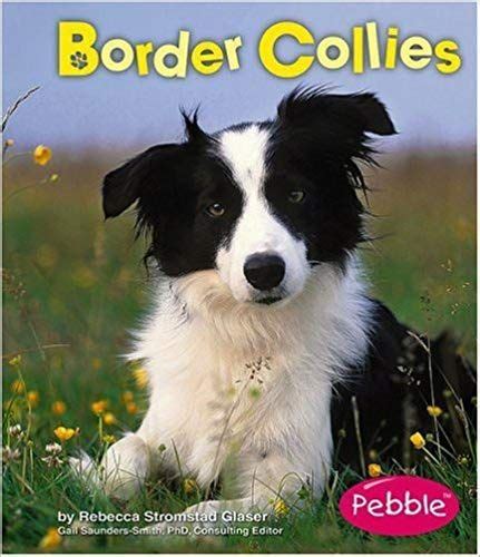 Border Collies Dogs Rebecca Stromstad Glaser 9780736853316 Amazon