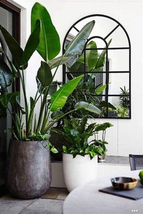 26 Gorgeous Interior Design With Indoor Plants Indoor