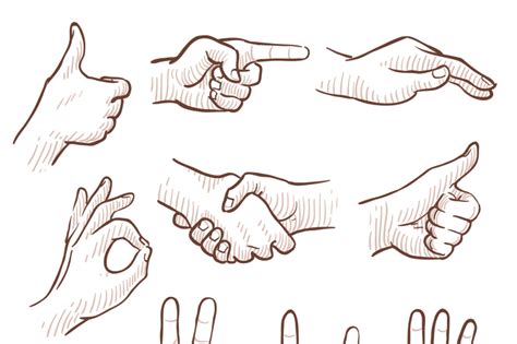 Hand Drawing Sketch Man Hands Showing Different Gestures Vector Set By